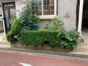 お庭づくり（植栽）と看板デザイン (4)