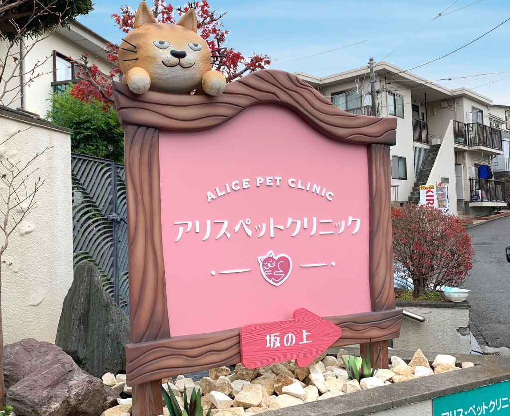 【目が釘付け】猫オブジェつきの看板とロックガーデン｜動物病院｜横浜