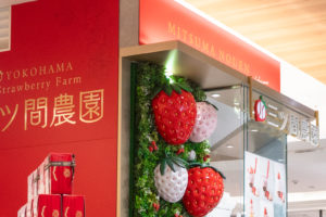 デパ地下　苺農園店舗デザイン